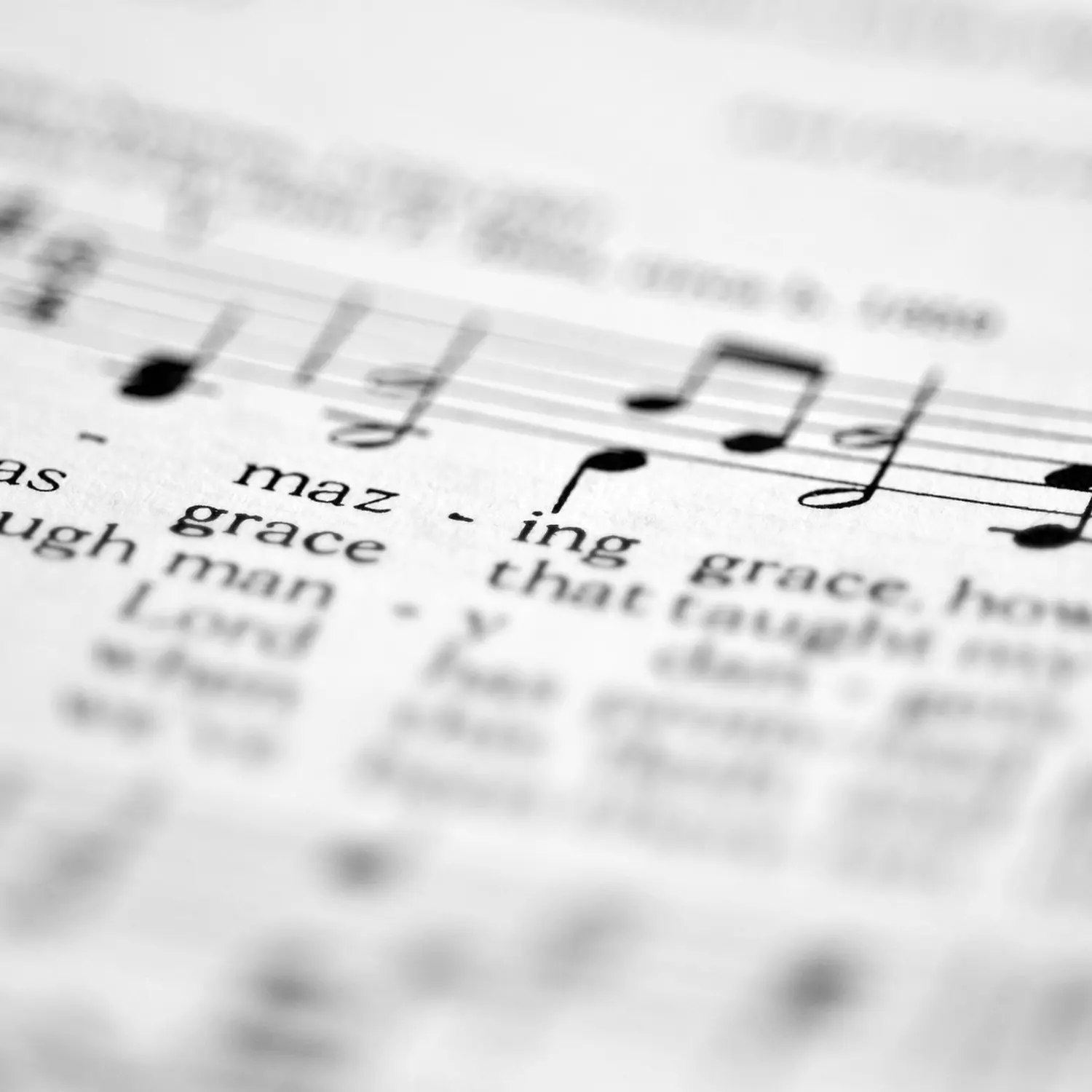 wir rocken Erfurter Musik